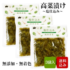 高菜 塩漬け 100g×3袋 無添加 無着色 国産 漬け物 高菜の漬物 宮崎県産 メール便