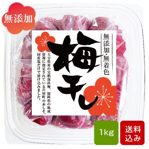 梅干し 無添加 1kg 梅干し しそ漬南高梅 無着色 すっぱい梅干し しそ梅