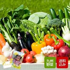 野菜ギフト  10品 九州野菜 野菜詰め合わせ お歳暮 ギフト 誕生日祝い のし無料