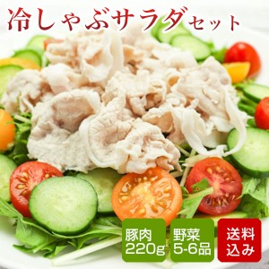 冷しゃぶ サラダセット 九州野菜5-6品 しゃぶしゃぶ用豚肉 野菜ドレッシング クール便 