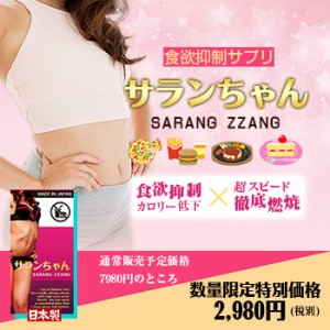 韓国 ダイエット サプリの通販｜au PAY マーケット