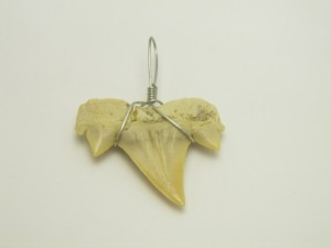 モロッコ産 天然化石 古代種サメの歯化石 ペンダントトップ1個売り