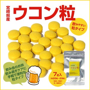 ＜ウコン粒 7g＞（約28〜29粒） 宮崎県産 国産 飲み会 宴会 忘年会 うこん ポイント消化 タブレット サプリメント お試し 海と太陽 二日