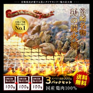 ＜鶏の炭火焼100g×3パック＞宮崎名物 職人技 合計たっぷり300g 炭火焼き 焼き鳥 保存食 常温 炭火焼き メール便 送料無料 おつまみ 海と