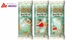 赤城乳業　ガリガリ君リッチチョコミント【100ml×24本】　アイスクリーム　送料無料（北海道・九州は除く沖縄・離島発送不可）