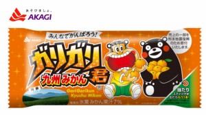 赤城乳業 アイス　ガリガリ君九州みかん　　33+1入　氷菓　送料無料（北海道・九州は除く沖縄・離島発送不可）