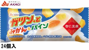 赤城乳業　ガツン、と みかん&パイン 杏仁豆腐　90ｍｌ×24本入　氷菓　アイスクリーム　送料無料（北海道・九州は除く沖縄・離島発送不