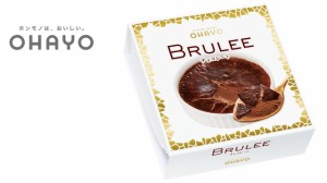 オハヨー乳業　アイス　BRULEE（ブリュレ）チョコレート　12個入　送料無料（北海道・九州は除く沖縄・離島発送不可）アイスクリーム