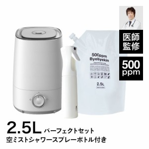 次亜塩素酸水 500ppm バイバイ菌 2.5L 超音波式 加湿器 噴霧器 超微細 ミストスプレー 超微細スプレーボトル セット