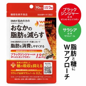 おなかの脂肪を減らす 糖の吸収を抑える 医師監修 ウエストメンテ 90粒 機能性表示食品 内臓脂肪 皮下脂肪 黒しょうが 燃焼 サラシノール