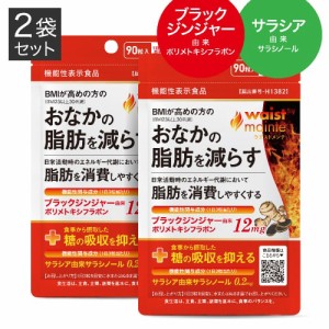 おなかの脂肪を減らす 糖の吸収を抑える 医師監修 ウエストメンテ 90粒 2袋 機能性表示食品 内臓脂肪 皮下脂肪 黒しょうが サラシノール 