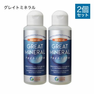 グレイトミネラル 100mL 2個 78種類の天然ミネラル 塩水湖水ミネラル液 ミネラル サプリ マグネシウム ミネラル サプリ にがり 水溶性