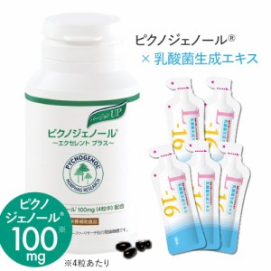 ピクノジェノール 〜エクセレントプラス〜(120粒) ＆ 乳酸菌生成エキス L-16 お試し ピクノジェノールサプリと身体環境を整えるサプリ