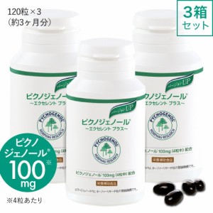 ピクノジェノール サプリ エクセレントプラス 120粒 3箱セット 90日分 フランス海岸松樹皮エキス 美容クリニック 橋本医師監修 サプリメ