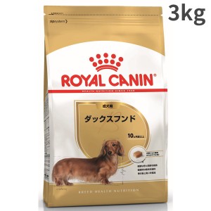 犬用 腹巻 ダックスの通販 Au Pay マーケット