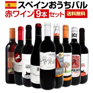 【送料無料】おうちタパスにピッタリ！スペイン各地の赤飲み比べ！おうちバル赤ワイン9本セット！