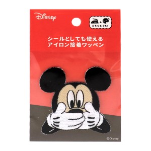 ディズニー 生地 ユザワヤの通販 Au Pay マーケット