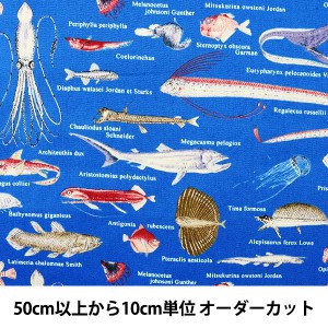 【数量5から】 生地 『ツイルプリント生地ツイル 深海魚 生地 布 入園 入学 インテリア B青』 COTTON KOBAYASHI コットンこばやし 小林繊