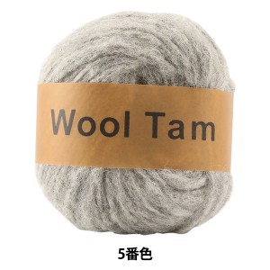 秋冬毛糸 『Wool Tam (ウールタム) 5番色』 DARUMA ダルマ 横田