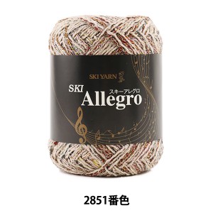 秋冬毛糸 『SKI Allegro (スキーアレグロ) 2851番色』 SKIYARN スキーヤーン