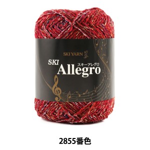 秋冬毛糸 『SKI Allegro (スキーアレグロ) 2855番色』 SKIYARN スキーヤーン