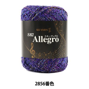 秋冬毛糸 『SKI Allegro (スキーアレグロ) 2856番色』 SKIYARN スキーヤーン