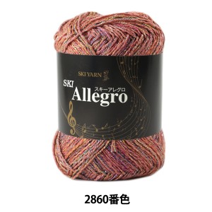 秋冬毛糸 『SKI Allegro (スキーアレグロ) 2860番色』 SKIYARN スキーヤーン