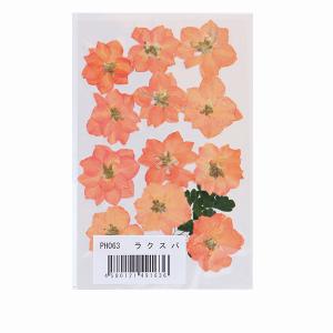 ユザワヤ プリザーブド フラワー キットの通販 Au Pay マーケット