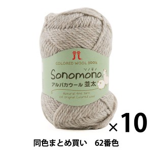 【10玉セット】秋冬毛糸 『Sonomono(ソノモノ) アルパカウール(並太) 62番色』 Hamanaka ハマナカ【まとめ買い・大口】