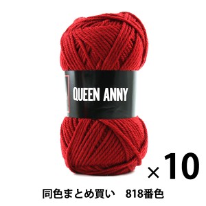 【10玉セット】毛糸 『QUEEN ANNY(クイーンアニー) 818番色』 Puppy パピー【まとめ買い・大口】