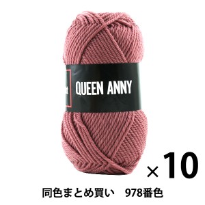 【10玉セット】毛糸 『QUEEN ANNY(クイーンアニー) 978番色』 Puppy パピー【まとめ買い・大口】