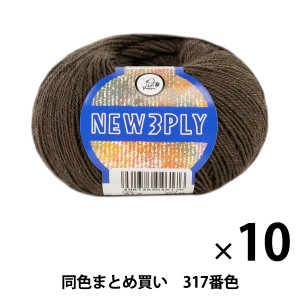 【10玉セット】秋冬毛糸 『NEW 3PLY(ニュースリープライ) 317番色』 Puppy パピー【まとめ買い・大口】