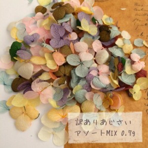 【訳ありアウトレット】0.7ｇ　ドライフラワー　あじさいMIX　（お買い得♪）紫陽花 レジン アクセサリー 材料 素材