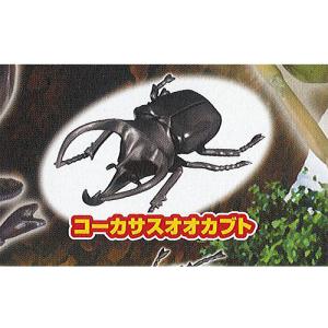 昆虫 ガチャガチャの通販 Au Pay マーケット