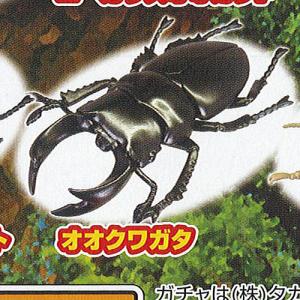 昆虫 ガチャガチャの通販 Au Pay マーケット
