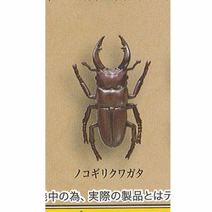昆虫 標本 販売の通販 Au Pay マーケット