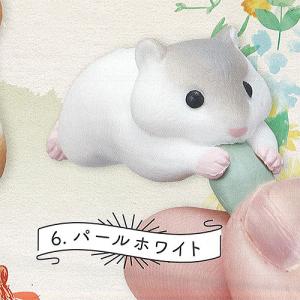 ハムスター ガチャガチャの通販 Au Pay マーケット
