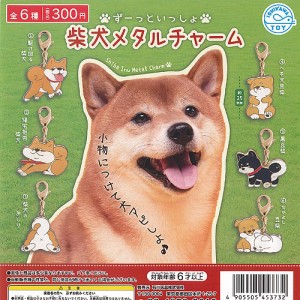 柴犬 ガチャポンの通販｜au PAY マーケット