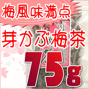 梅風味満点・芽かぶ梅茶（ワカメ/めかぶ/メカブ/めかぶ茶/健康茶茶/ヘルシー/健康/ダイエット/低カロリー/ミネラル/） 海藻