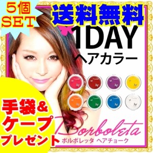 ボルボレッタ ヘアチョーク【5個セット】（全8色）手袋+ケープ付 簡単セレブヘア 日本製 Borboleta （ゆうパケット送料無料） 