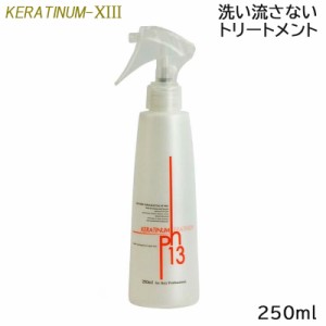 ケラチナムサーティーン 13 プロ 250ml スプレーボトル 洗い流さないトリートメント (送料無料)