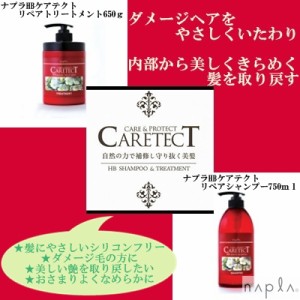 ナプラ ケアテクトHB リペアシャンプー（750ml）+リペアトリートメント（650g） (送料無料) 