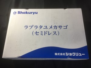 業務用 冷凍 ラプラタユメカサゴ セミドレス 5kg 20尾サイズ  アラカブ 【魚】