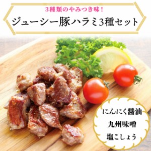 冷凍 ジューシー豚ハラミセット 塩胡椒味 150g×3袋 九州味噌味 150g×3袋 にんにく醤油味 150g×3袋 バーベキュー 味付き 焼肉 はらみ 