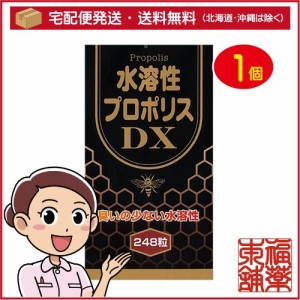 水溶性プロポリスDX(248粒入) [宅配便・送料無料]