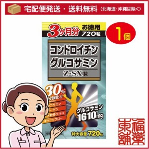 コンドロイチン グルコサミン Z-SX粒(720粒) [宅配便・送料無料]