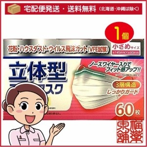 立体型不織布マスク 小さめ 60枚入 [宅配便・送料無料]