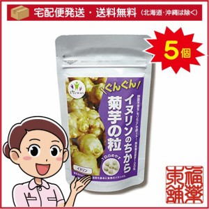 イヌリンのちから 菊芋の粒(45g(250mgx180粒))×5個 [宅配便・送料無料]