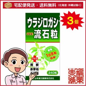 ウラジロガシ流石粒(250mgx240粒)×3個 [宅配便・送料無料]