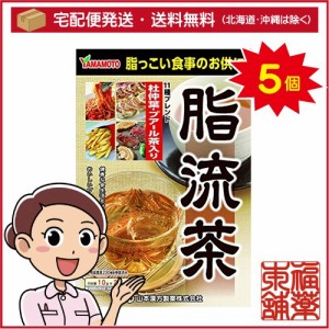 山本漢方 脂流茶(10gx24分包)×5個 [宅配便・送料無料]